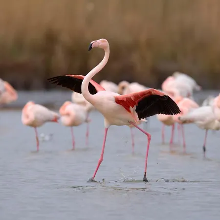 Hotel Le Quai Aux Fleurs-3 By Interhome